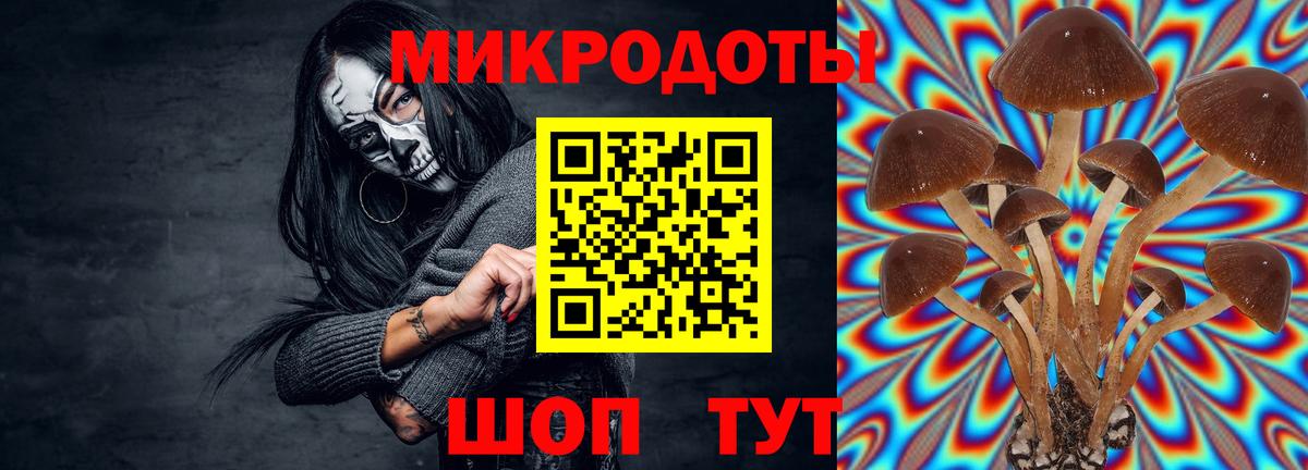 Псилоцибиновые грибы мицелий  Вход с VPN  Заречный  купить наркотики цена  Галлюциногенные грибы Psilocybe 
