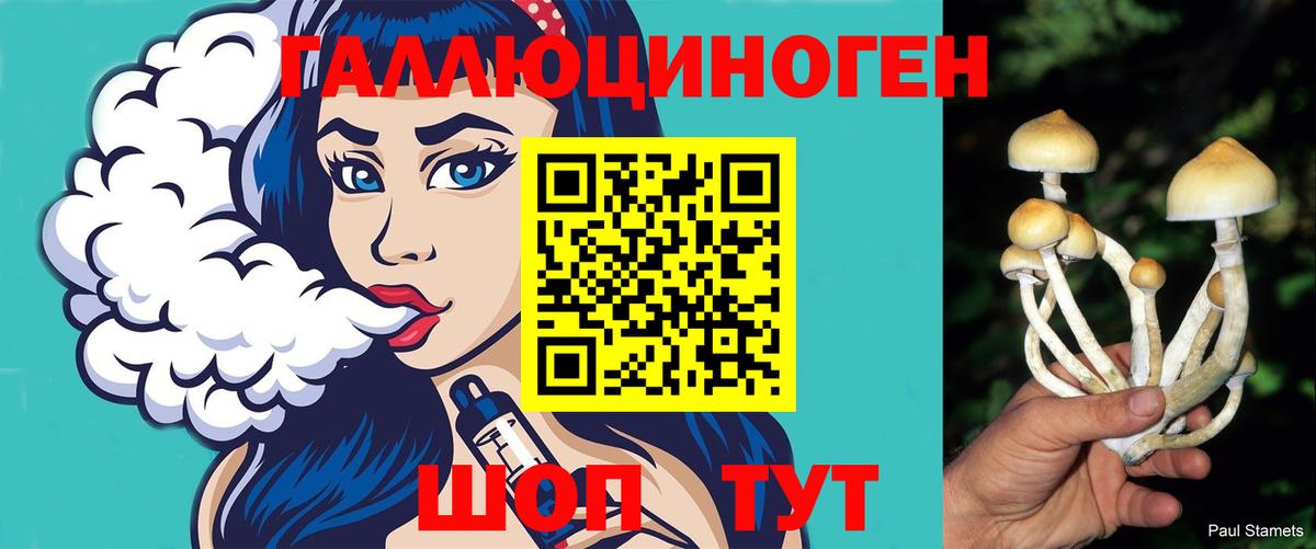 Галлюциногенные грибы мицелий Заречный